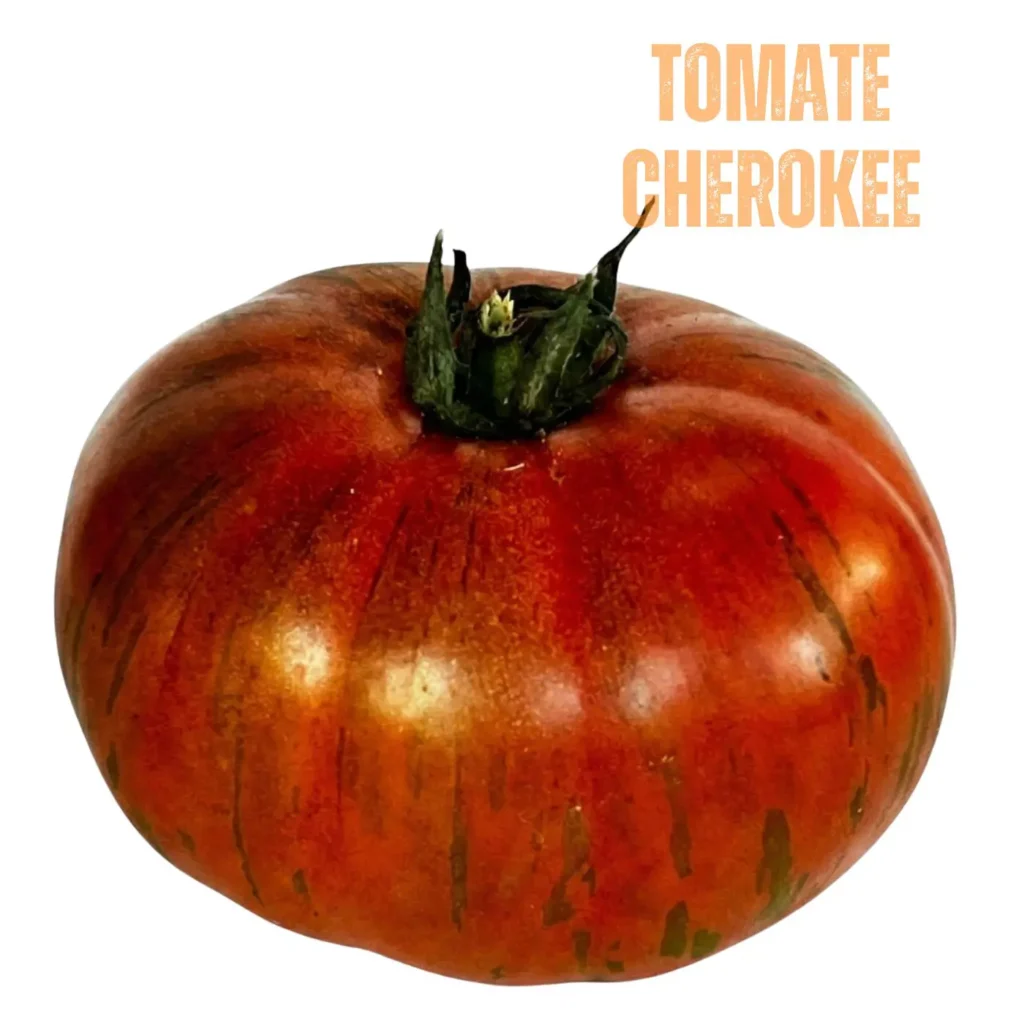 cherokee-2-ok