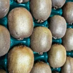 caja kiwi bueno
