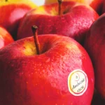 manzana roja ambrosia